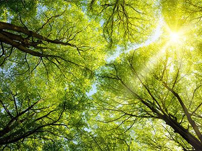 Rural Landscapes and Community Wellbeing Rural Landscapes and Community Wellbeing
