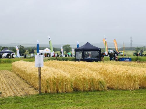 Arable Scotland Event