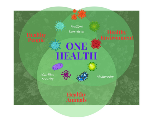 Microbial ecosystems and One Health