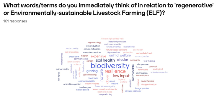 word cloud for BSAS2025