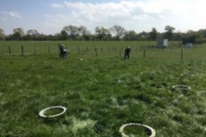 A grassy field with multiple N2O gas sampling chambers placed in the ground, these are circular in shape. Two people in the background are working near a fenced area, engaged in sampling. The sky is mostly blue with some cloud cover..