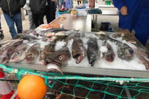 Peterhead fish market. Photo Credit: Wendy Russell.