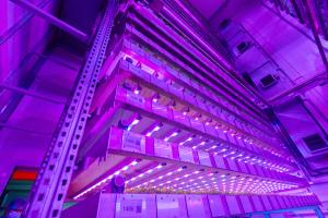 Intelligent Growth Solutions vertical farm based on the James Hutton Institute campus at Invergowrie.