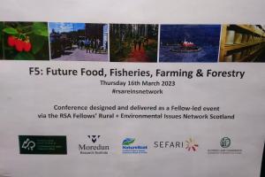 Advert for the conference
