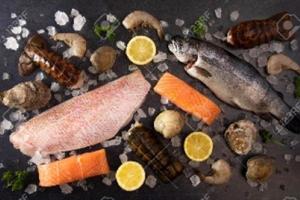 Seafood