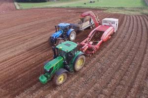 Potato Harvesting