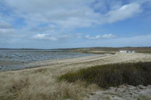 Rural Island Shoreline