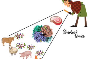 Cartoon Sherlock investigating meat proteomics