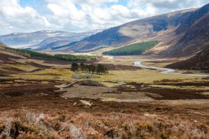 landscape of cairngorms national park