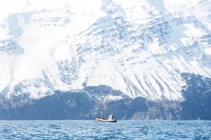 winter scene of knoydart sea in scotland