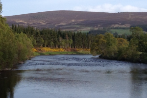 Image showing a body of water surrounded by trees