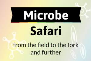 Microbe Safari Web Page