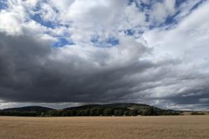 Field of crops underneath a sky with brooding clouds