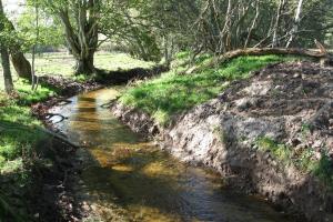 River landscape