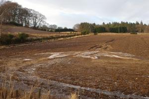 Soil erosion in a field