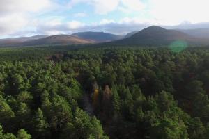 Aerial photo of Scottish hills surrounded by forest pine trees