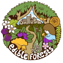 Cartoon of edible plants found growing wild