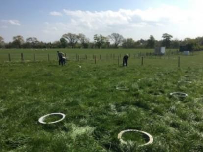 A grassy field with multiple N2O gas sampling chambers placed in the ground, these are circular in shape. Two people in the background are working near a fenced area, engaged in sampling. The sky is mostly blue with some cloud cover..