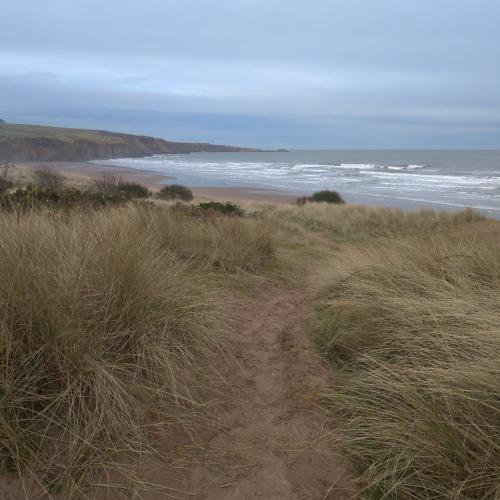 Lunan. Photo credit: Dr. Ioanna Akoumianaki