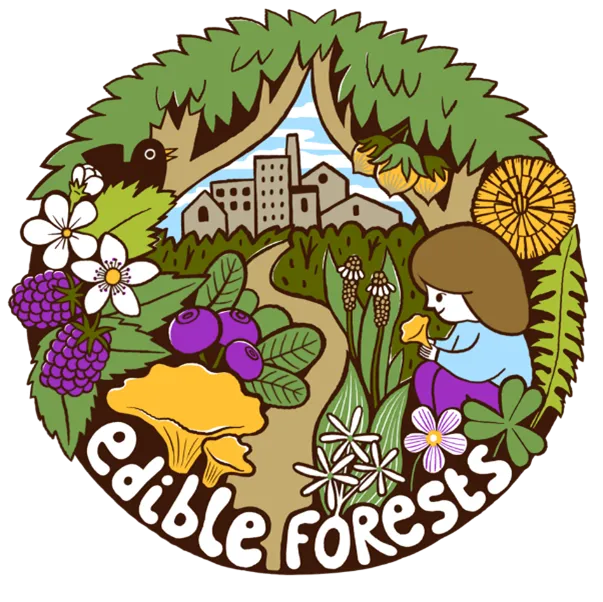 Cartoon of edible plants found growing wild